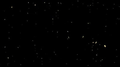 Golden Confetti Falling Particle Overlay