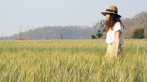Woman walking and Turn around through barley field in a sunset light. Slow motion.