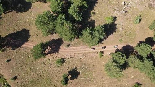 Aerial View Of Group Of People Riding On All Terrain Quadricycle Vehicle On Forest Road