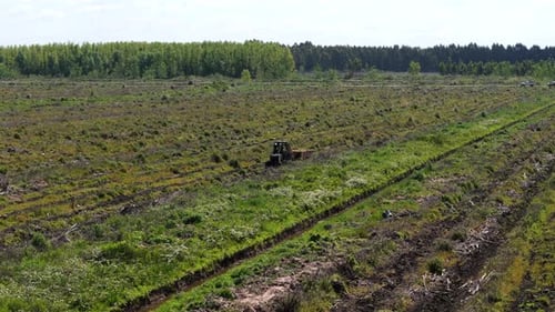 A tractor moves across a field during land preparation for reforestation on a clear and sunny day