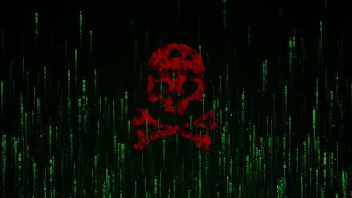 Digital Skull and Crossbones With Binary Code