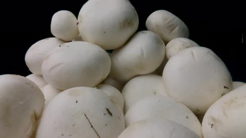 Close Up of Raw White Mushrooms