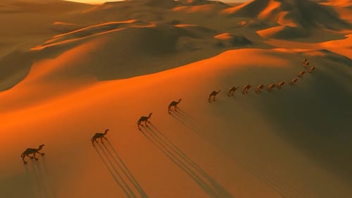 The Silhouette Of A Camel Caravan Walking In The Desert