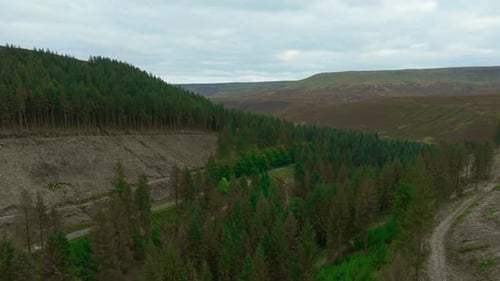 Begeben Sie sich auf eine Reise durch Dramatisch Landschaften, die mit üppigen grünen Wäldern und zerklüfteten Wäldern geschmückt sind