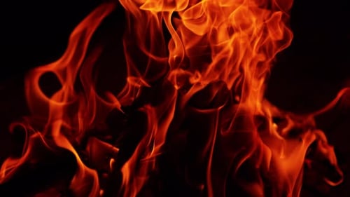 Red hot flame on the chops of wood. Close up look at the campfire burning at night.