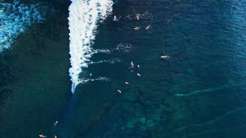 Surfers in Blue Ocean Aerial View with Surfing on Waves