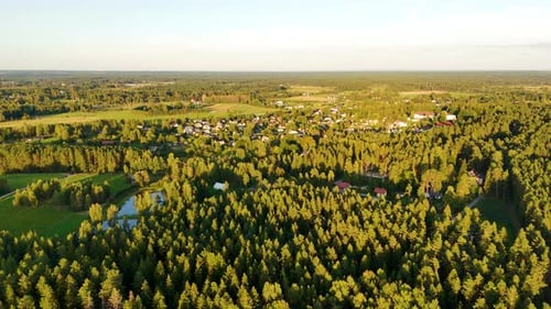 Aerial landscape at daylight, Incukalns small Latvian european town around lush green pine tree fore