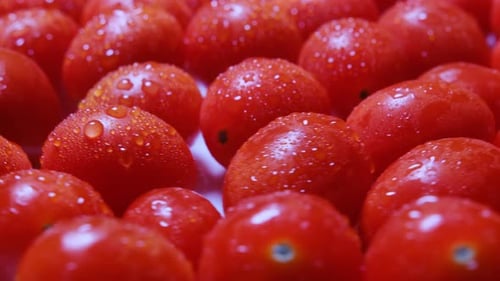 Photo macro de tomates cerises mûres aux reflets naturels