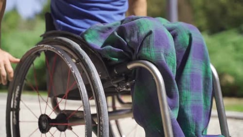 Man Pushing Wheelchair on Path on Sunny Day