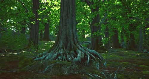 Majestic Tree Roots Showcase Natures Beauty in Vibrant Green Forest