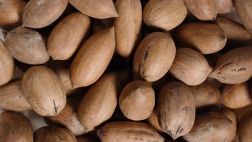 Pecan in Shell, Top-Down Rotation, Close-Up, Looping.