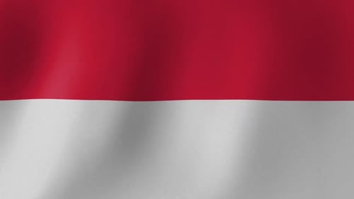 Red and White Flag Waving Seamless Loop Animation