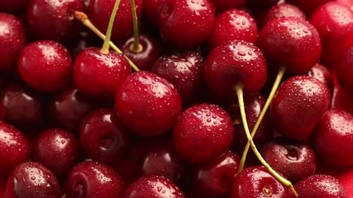 Many ripe cherries with water drops, spinning