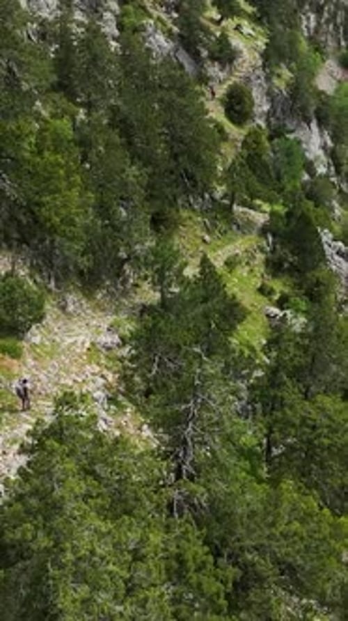 Vertical Video Quest for Adventure Travelers' Expedition Into the Green Mountains