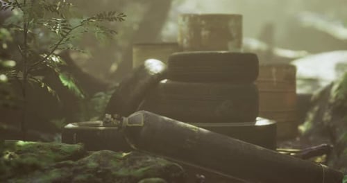 Old Tires and Rusted Containers Create a Mysterious Scene in the Forest