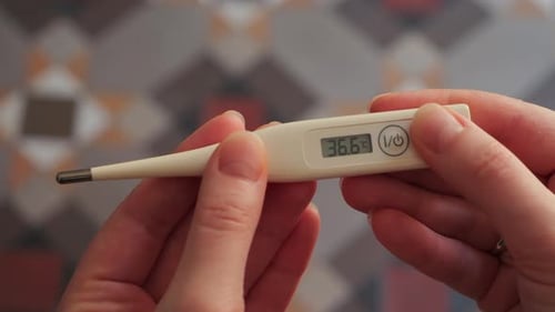 Eine Hand hält ein digitales Thermometer und auf dem Bildschirm wird eine Temperatur von 36,6 angezeigt.
