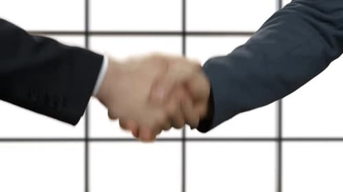 Politics Shake Hands