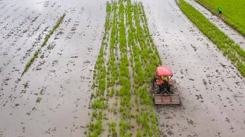 Landwirt im Traktor bereitet Ackerland vor Traktor in Reisfeldern
