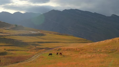 Tranquil Horses Feeding On Lush Hills Under Amber Glow With Towering Mountain Silhouettes In View
