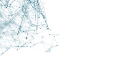 Slow Digital Network Movement Design