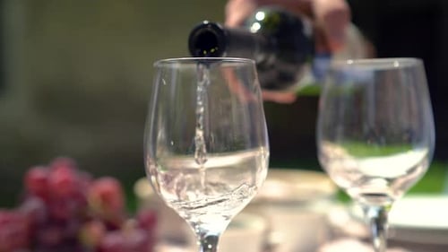 pouring white wine outside on a sunny day with grapevine in the background
