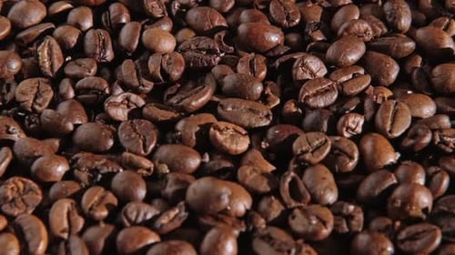 Fondo de granos de café