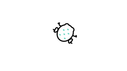 Pyxicephalidae Animated Icon