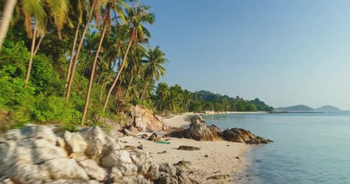 Palm Trees Leaning Over a Rocky Tropical Beach in Koh Samui Thailand