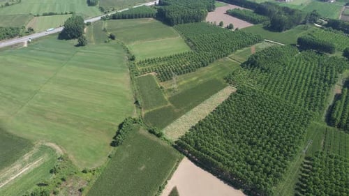 Aerial View of Beautiful Rural Farmland Landscape