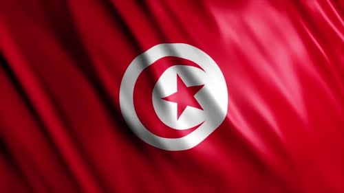 Waving Tunisian Flag Seamless Loop Animation