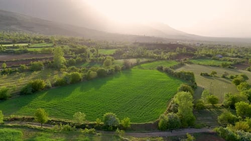 Aerial View of Green Fields at Sunset