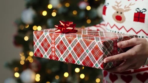 Woman Holding Wrapped Christmas Gift by Tree