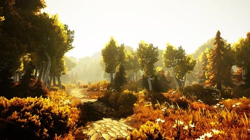 Cartoon Flowering Green Forest on Sunset