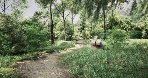 Pathway Through a Lush Forest Area with Benches and Greenery