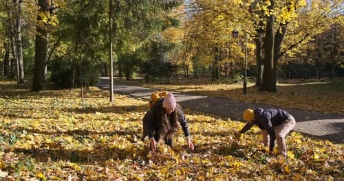 Young Couple Throwing Autumn Leaves In Autumn Park