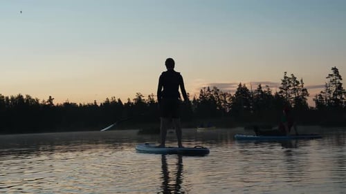 Stand Up Paddle Boarding or Standup Paddleboarding on Quiet Lake at Sunrise