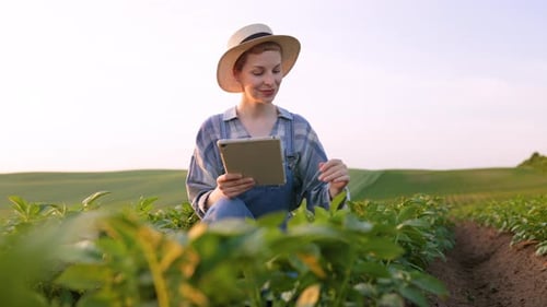 Farmer Using Tablet in Field