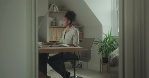 Female Entrepreneur Working at Home on Computer and taking Notes
