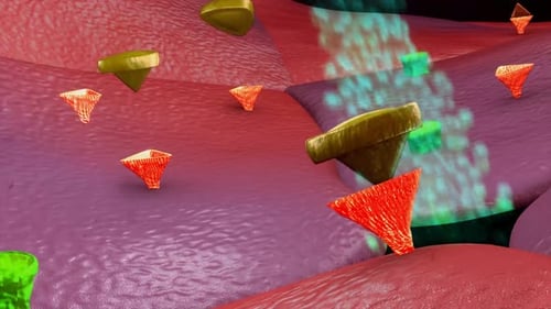 Cellular receptors binding with active molecules