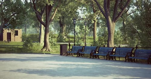 Charming Park Setting with Benches Under Leafy Trees During Daytime