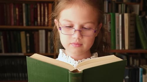 Little Girl Reading Book in Library Close Up Child in Bookstore