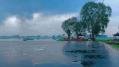 Rainy Day at the Lake