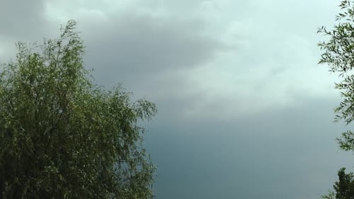 Storm Rain Clouds Over the Top of the Green Trees Summer Rainy Gray Sky Nature Backgrounds Slow