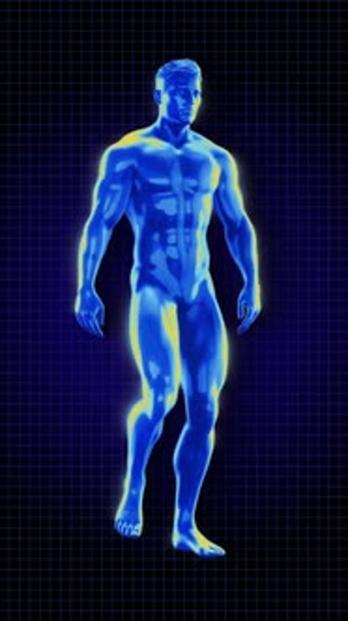 Male Iridescent Exercise Walk