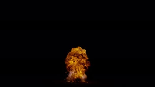 Detonate Collection: A detonation in the center of the frame at the bottom with rising fire cloud on