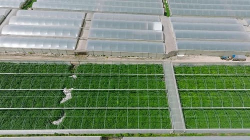 Greenhouse farming, vast land utilized for greenhouse agriculture, Aerial view