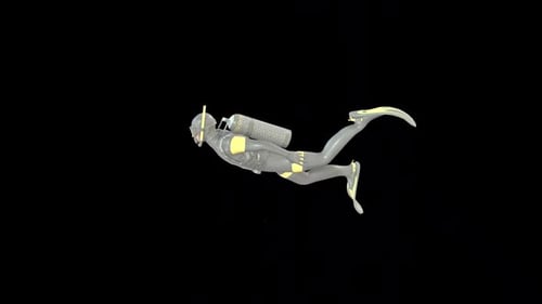 Diver Idle