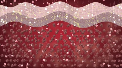 Cellular Regeneration Process in Human Skin 3D Medical Animation