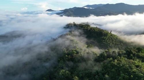 Mountains and Mist Aerial View