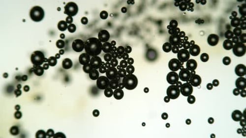 Abstract Black Bubbles Floating Upwards Background Animation